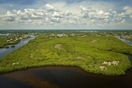 Luftaufnahme von ländlichen Privathäusern in abgelegenen Vororten in der Nähe von Floridas Feuchtgebieten mit grüner Vegetation an der Küste der Meeresbucht. Naturnah leben.