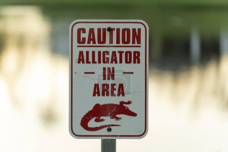 Warning sign about alligator in water in Florida park. Caution and safety during walking near waterfront.