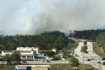 Foto de Vista aérea de un fuerte incendio forestal que arde severamente en North Port City, Florida. Desastre natural durante la estación seca en bosques selváticos. - Imagen libre de derechos