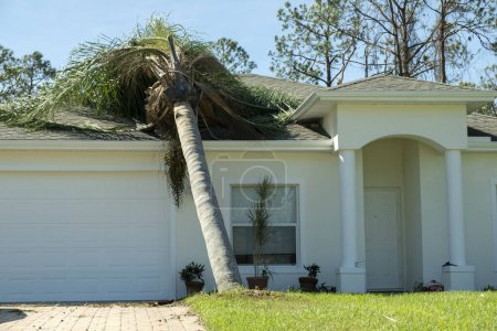 Téléchargez les photos : Dommages causés par l'ouragan sur le toit d'une maison en Floride. Tombé sur un grand arbre après une tempête tropicale. Conséquences des catastrophes naturelles. - en image libre de droit