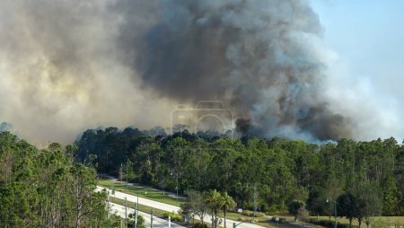 Foto de Vista aérea de grandes incendios forestales que arden severamente en los bosques de la selva de Florida. Llamas calientes con humo denso en el bosque tropical. - Imagen libre de derechos