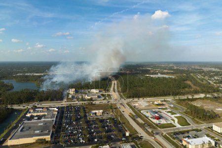 Foto de Incendios forestales que arden severamente durante la estación seca de invierno en North Port City, Florida. Grueso humo que se levanta sobre las casas de los suburbios. - Imagen libre de derechos