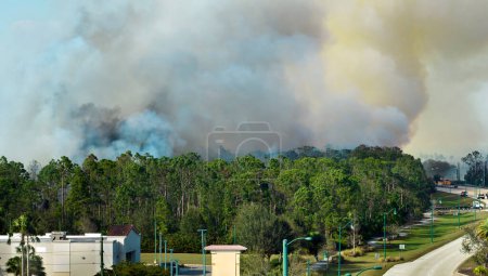 Feuerwehrfahrzeuge des Rettungsdienstes löschen einen Flächenbrand in den Wäldern des Dschungels von Florida. Fahrzeuge der Feuerwehr versuchen, die Flammen im Wald zu löschen. Giftiger Rauch verschmutzt Atmosphäre.