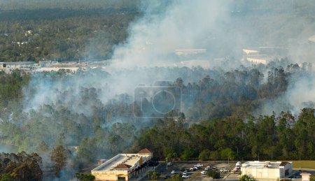 Riesige Waldbrände in Floridas Urwald lodern heftig. Heiße Flammen im Wald. Dichter Rauch steigt auf.