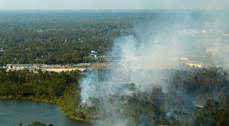 Riesige Waldbrände in Floridas Urwald lodern heftig. Heiße Flammen im Wald. Dichter Rauch steigt auf.
