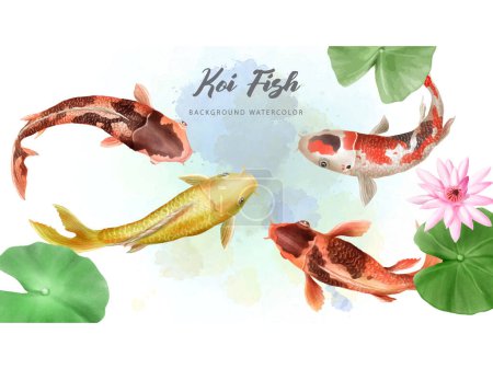 Téléchargez les illustrations : Beau poisson koï aquarelle fond - en licence libre de droit