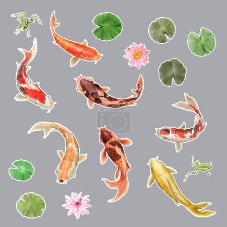 Ilustración de Hermoso koi peces acuarela pegatina conjunto - Imagen libre de derechos