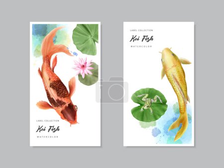 Téléchargez les illustrations : Belle collection d'étiquettes aquarelle de poissons koï - en licence libre de droit
