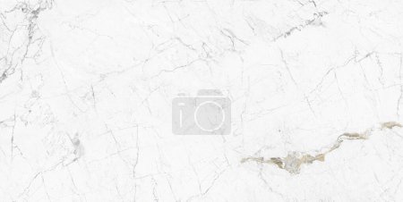 Photo for White high resolution, glossy Carrara  marble stone texture for digital wall and floor tiles - Royalty Free Image