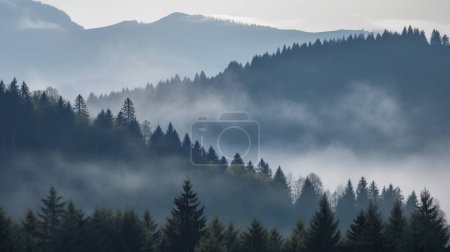 Téléchargez les photos : Misty Mountains et Fir Forest. Photo de haute qualité - en image libre de droit