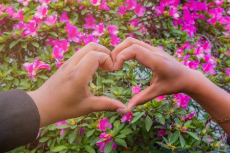 Foto de Pareja formando un corazón con las manos en un jardín - Imagen libre de derechos