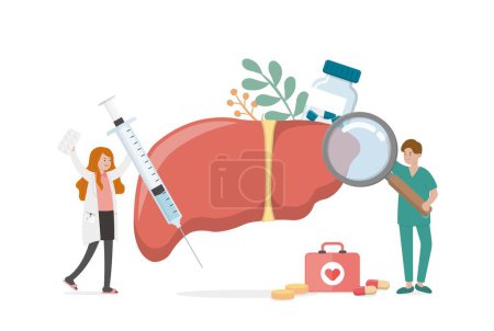 Illustration for Human organs of liver with doctor or nurse or medical staff for health check, vector comic cartoon - Royalty Free Image