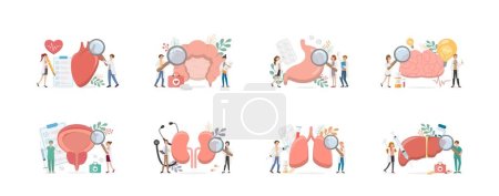 Illustration for Combinations of 8 human organs with doctors or nurses or medical staff for health checks, vector comic cartoon - Royalty Free Image