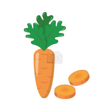 Illustration for Vector comic cartoon illustration of carrot slice with cross section isolated on white background - Royalty Free Image