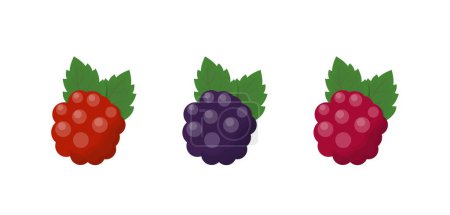 Illustration for Three colors of raspberries, comic cartoon vector - Royalty Free Image