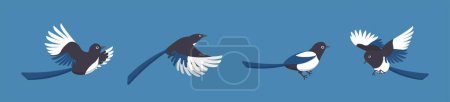 Illustration for 4 kinds of magpies isolated on blue background, cartoon comic vector illustration icon set of birds - Royalty Free Image