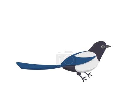 Ilustración de Urraca aislada sobre fondo blanco, icono de ilustración de vectores cómicos de dibujos animados de aves - Imagen libre de derechos