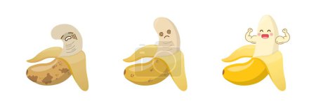 Ilustración de Mascota de plátano, tres etapas de maduración frescas a podridas, saludables e insalubres, problemas reproductivos o de próstata masculinos - Imagen libre de derechos
