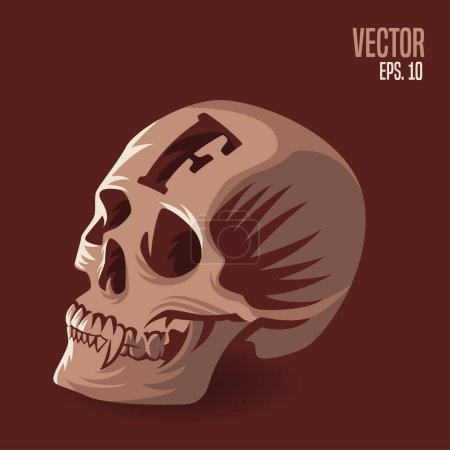 Illustration for Vector illustration of human skull with letter F on brown background. Vector illustration of a human skull. - Royalty Free Image