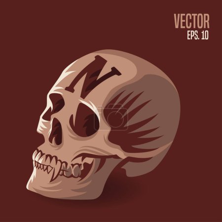 Illustration for Vector illustration of human skull with letter N on brown background. Vector illustration of a human skull. - Royalty Free Image