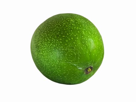 Téléchargez les photos : Miel de mangue vert frais isolé sur fond blanc, tourné en studio, parfait pour les aperçus des produits du marché - en image libre de droit
