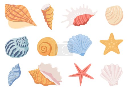 Illustration for Sea shells, mollusks, stars. Beautiful colored shells of different shapes. - Royalty Free Image