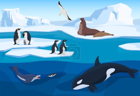 Téléchargez les illustrations : Animaux de l'Antarctique dans un environnement naturel sur icebergs style dessin animé. Animaux terrestres et sous-marins. Prédateurs et oiseaux des régions froides. - en licence libre de droit