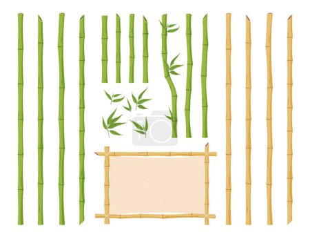 Illustration for Set of bamboo stems. Tropical and Asian plant. Green and brown plant stems, decorative elements. - Royalty Free Image
