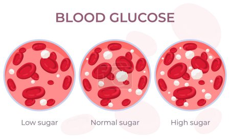 Illustration for Blood glucose content. The circulatory system is its components. Red blood cells, white blood cells, platelets, lymphocytes in cartoon style. - Royalty Free Image