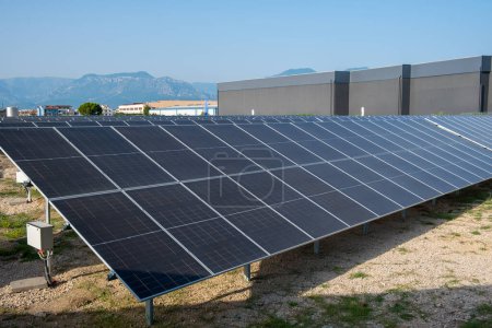 Solarmodule in Solarpark. Erneuerbare Energien, grüne Energie, nachhaltige Energie, Stromerzeugung, Dekarbonisierung. Ökologie und Nachhaltigkeitskonzept.