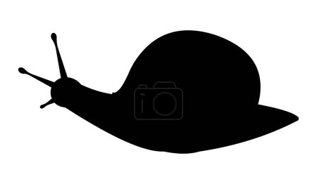 Foto de Silueta negra de un caracol - Imagen libre de derechos
