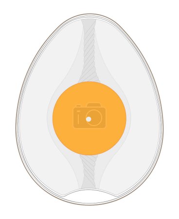 Ilustración de Huevo de gallina sin fertilizar (contiene blastodisc). - Imagen libre de derechos
