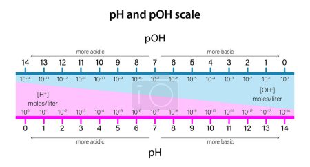 Ilustración de Escala de pH y escala de pOH - Imagen libre de derechos