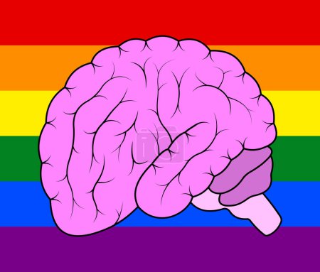 Foto de Cerebro en el fondo LGBT - Imagen libre de derechos