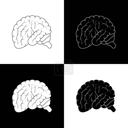 Foto de El cerebro humano sobre fondo blanco y negro - Imagen libre de derechos