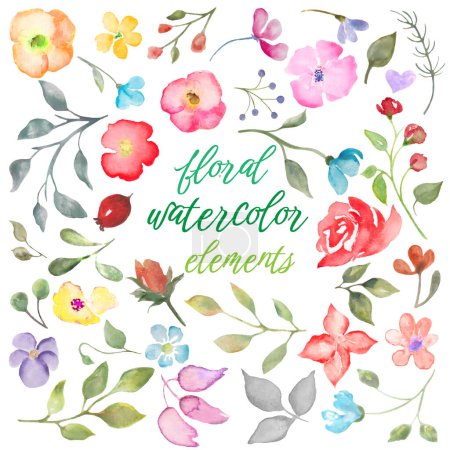 Illustration for Watercolor set with abstract floral - roses, berries, branches, leaves. For your design of fabrics, wrapping papers, wallpapers, cards, posters. Hand drawn illustration. Vector EPS. - Royalty Free Image