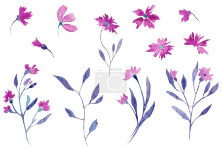 Illustration for Watercolor illustration set with abstract purple flowers, branches, leaves. Decorative floral elements. Hand painting isolated on white . For cards, wrapping, packaging design or print. Vector EPS. - Royalty Free Image