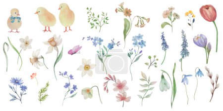 Set floral de primavera. Acuarela Elementos de Pascua.Ilustración dibujada a mano aislada sobre fondo transparente. Vector EPS.