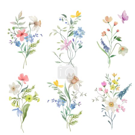Conjunto floral acuarela. Ilustración dibujada a mano aislada sobre fondo transparente. vector EPS.
