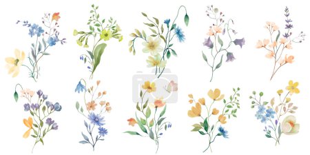 Illustration for Watercolor floral set. Hand drawn illustration isolated on transparent background. Vector EPS. - Royalty Free Image