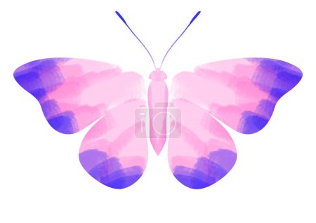 Photo for Signed different colours bright butterflies. Orange, red, blue, green, pink, yellow, black, purple. - Royalty Free Image