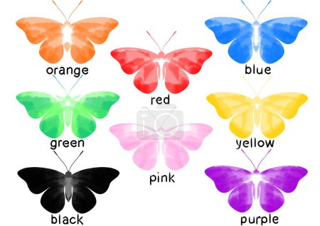 Photo for Signed different colours bright butterflies. Orange, red, blue, green, pink, yellow, black, purple. - Royalty Free Image