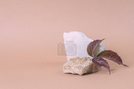 Model of a stone podium for products with a leaf of the red liana Parthenocissus. Neutral background for presentation. Minimal modern product display. concept scene