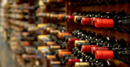 Botellas de vino negro alineadas y apiladas en estantes en una tienda de vinos de colección privada de lujo