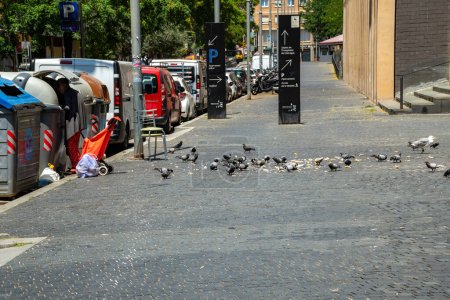 Photo for Homeless woman looking for food in a gray garbage container on the sidewalk of the city of justice in Barcelona with many pigeons eating bread crumbs on a very wide sidewalk on a sunny day - Royalty Free Image