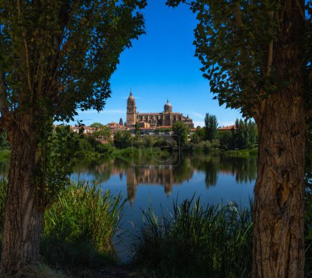 Foto de Vista enmarcada por árboles de la Catedral de Salamanca desde el otro lado del río Tormes con su reflejo en el tranquilo agua del río y toda la vegetación verde, cielo azul claro y agua limpia del río. - Imagen libre de derechos