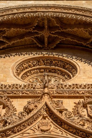 Photo for Detail of the ornaments of the portal and round window with bas-reliefs of animals, beasts and chimeras of the Cathedral of the Assumption of the Virgin or New Cathedral of Salamanca. View from below. - Royalty Free Image