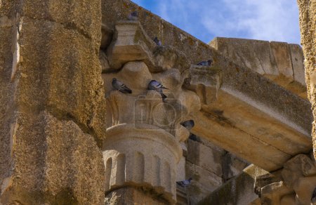 Photo for Group of doves perched on the ornate moldings of the marble columns and Corinthian-style capital of the well-preserved Roman temple of Diana. Merida. - Royalty Free Image