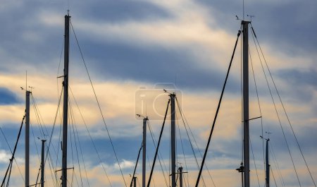 Hintergrundbeleuchtete Silhouetten von Masten von Yachten und Segelbooten, die in einem Hafen unter einem Himmel festmachen, der die Wolken mit Abendsonne erhellt. Magischer und romantischer Himmel.