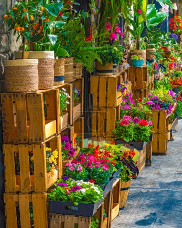 Muchas flores, rosas, plantas y árboles frutales en macetas y cajas de madera bellamente exhibidas fuera de una florería en la acera de una calle en Barcelona.